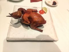 -侨美食家·40年地道粤菜(珠江新城店)