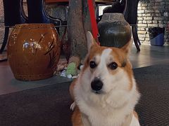 -又见炊烟私房菜(敬亭路店)