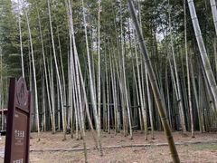 -陶祖圣境风景区