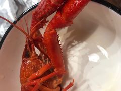 -虾弄弄海派小龙虾·牛羊蝎子火锅