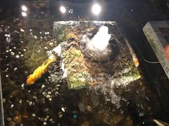 -功德林(南京西路店)