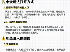 -日照海滨国家森林公园