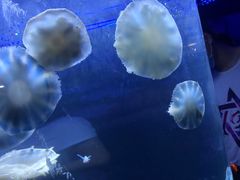 -五缘湾悦都汇购物中心
