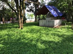 景点-瑞丽独树成林风景区