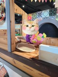 -塔塔王国·主题儿童游乐园(奥城商业广场店)