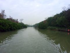 -大湾区中央湿地公园