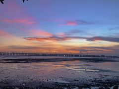 -宝安西湾红树林湿地公园