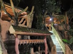 -天门沟九州驿站树上汤泉
