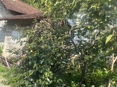 -九点小吃·安吉特色