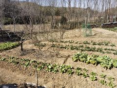 -高老庄·老溧阳·私房菜(南山竹海店)