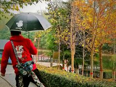 -西安汉城湖景区