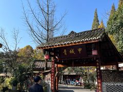 -青城甲(青城山店)