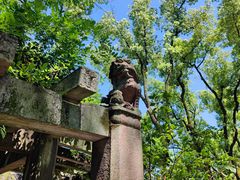 -天一阁博物院