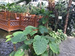 -汤山翠谷生态餐厅