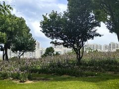 -贡湖湾湿地公园