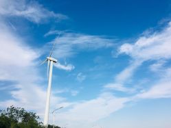 -明星刺青·洗纹身