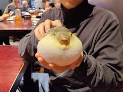 -永安鱼庄·镇江菜(东吴路店)