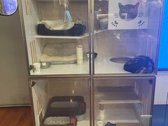 -老炮儿轰趴团建KTV桌游棋牌主题馆(五道口店（底商店))