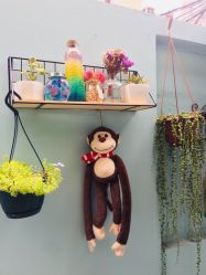 -甲舍美甲美睫艺术馆