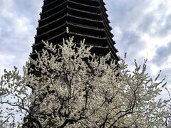 -玲珑塔公园