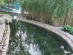 -活水公园