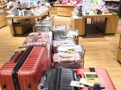 -九木杂物社(中心店)