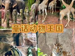 -长鹿旅游休博园
