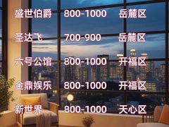 -长沙小天鹅戴斯酒店