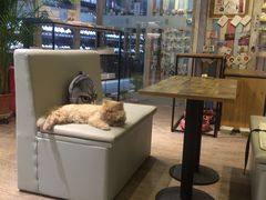 -小时光咖啡馆(开森度假森林店)