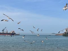 -海驴岛(荣成市)