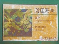 -鹅銮鼻公园
