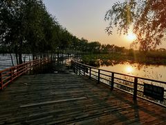 -绿堤公园