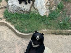 -无锡动物园·太湖欢乐园
