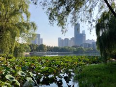 -后襄河公园