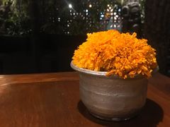 -Pundi Pundi Restaurant