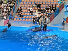 -海合安成都极地海洋公园