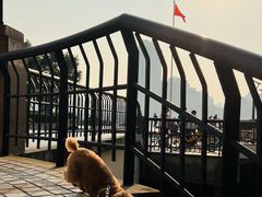 -Chili's Cafe&Bar奇利斯(滨江店)
