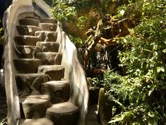 -疯狂屋