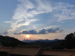 -深圳仙湖植物园