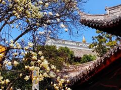 -龙华寺