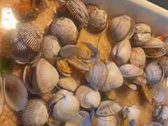 -君悦酒店·乐厨·高空自助餐(青年大街店)