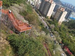 -小南山公园