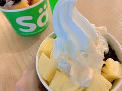 -Salud撒露欧洲冻酸奶(五道口购物中心店)