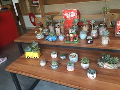 -熊猫邮局(少城店)