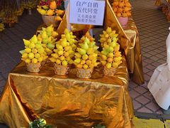 -珠海市体育中心-游泳馆