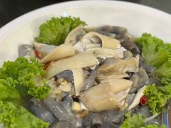 鱼唇-双天海鲜楼 · 43年老字号