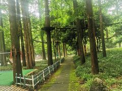 -灵栖洞天