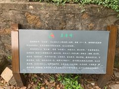 -雨花胜境