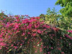 -广州市白云山风景名胜区