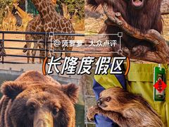-飞来湖湿地公园